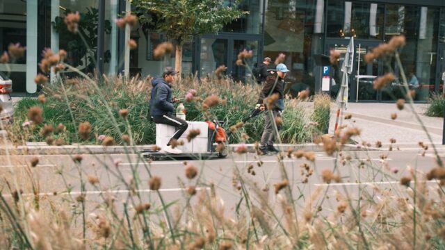 Two people with plants in the foreground