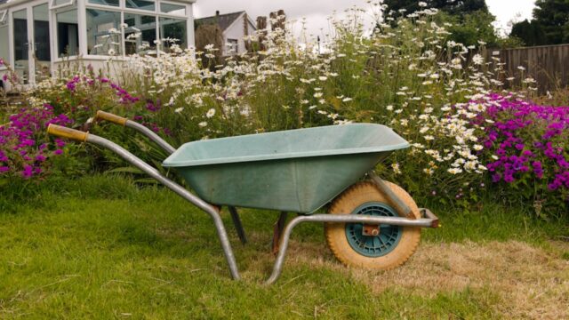 A wheelbarrow sitting in the middle of a garden